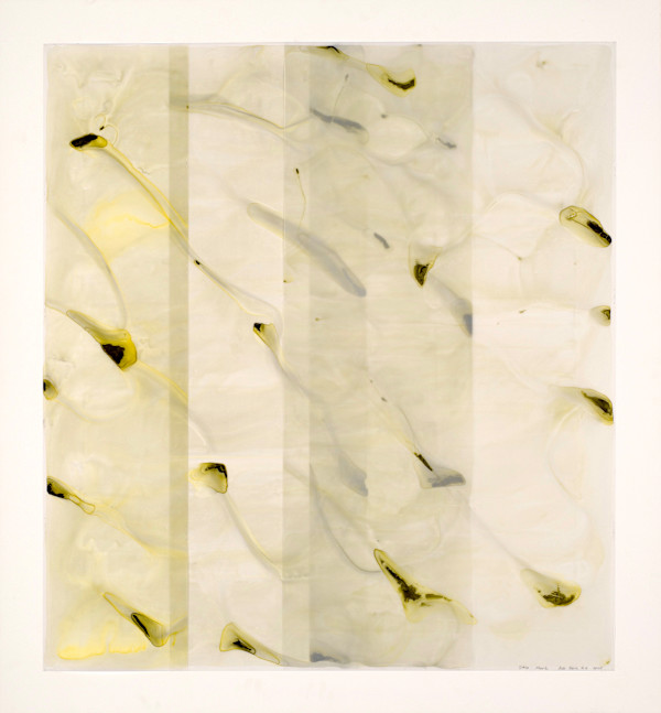 Azo Rain #4 by Dara Mark