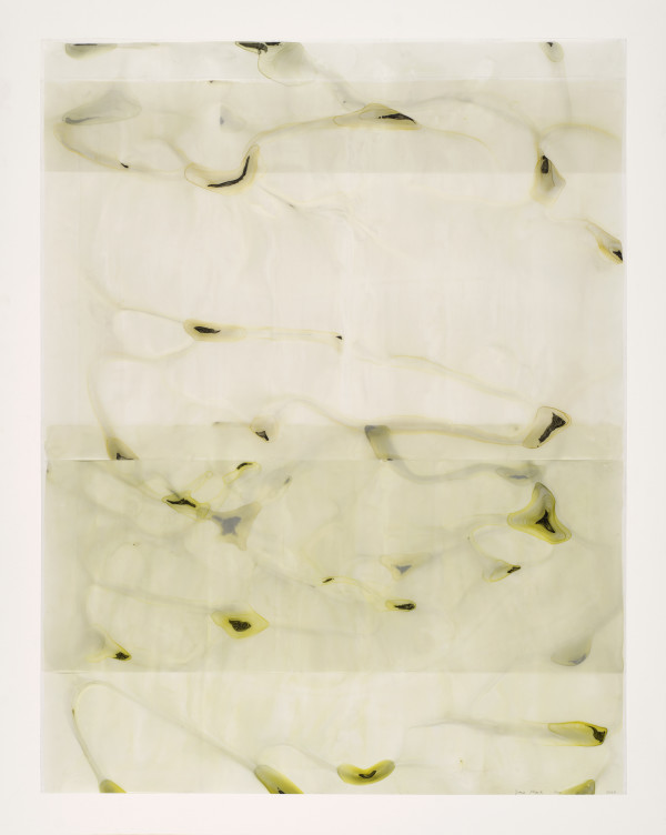Azo by Dara Mark