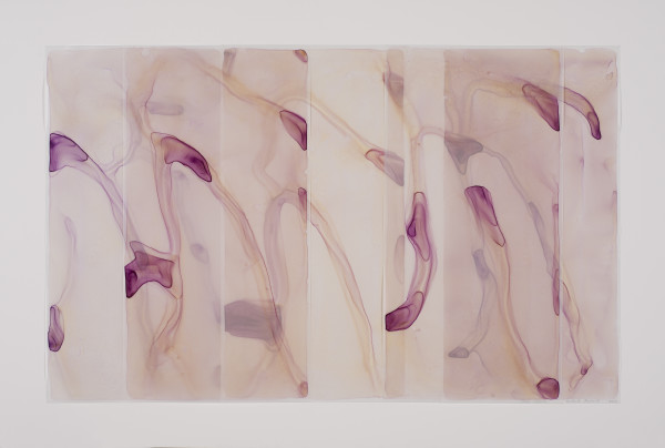 Orchid Reverie