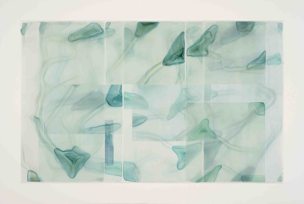 Water Lilies