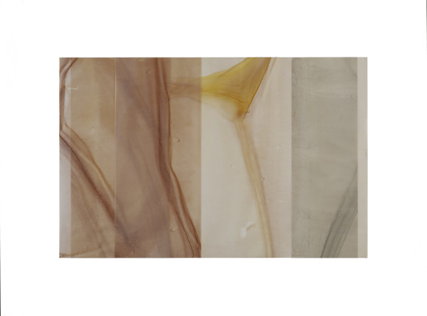 Shift Poem #15 by Dara Mark