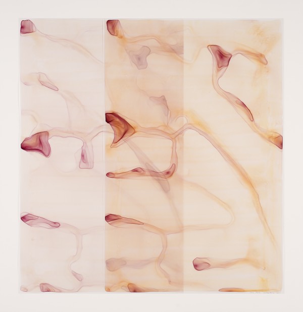 Caritas/Lily