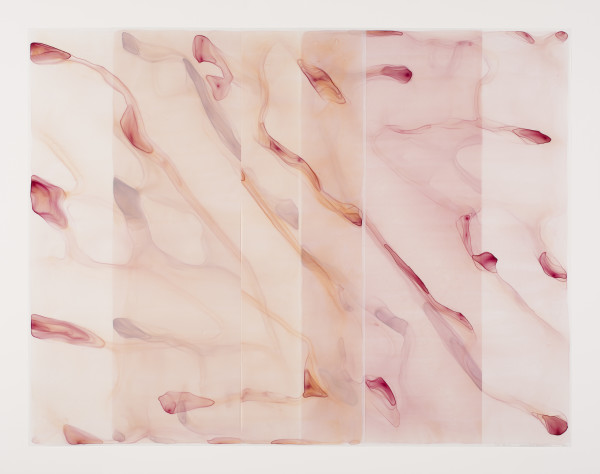 Canyon/RoseQuartz/Rose