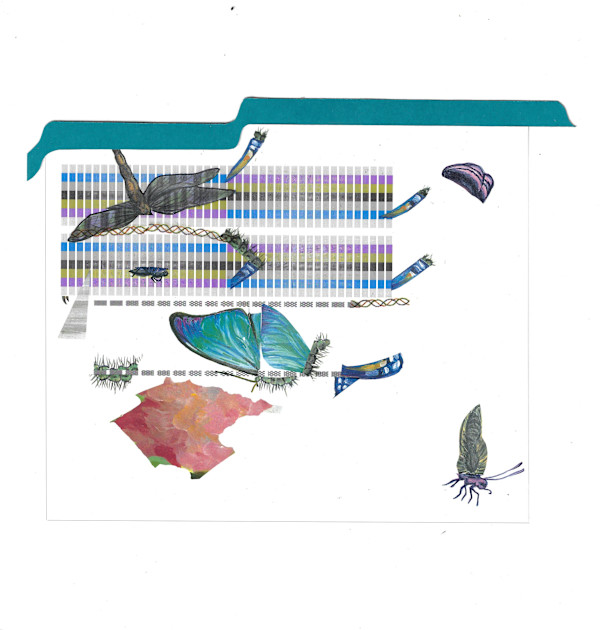 Zigzag by Lynne Marinelli Ghenov