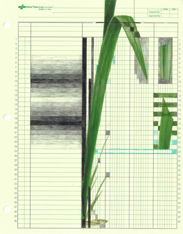 Self Preservation by Lynne Marinelli Ghenov