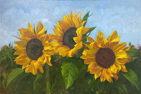 Sunnies by Mary Bryson