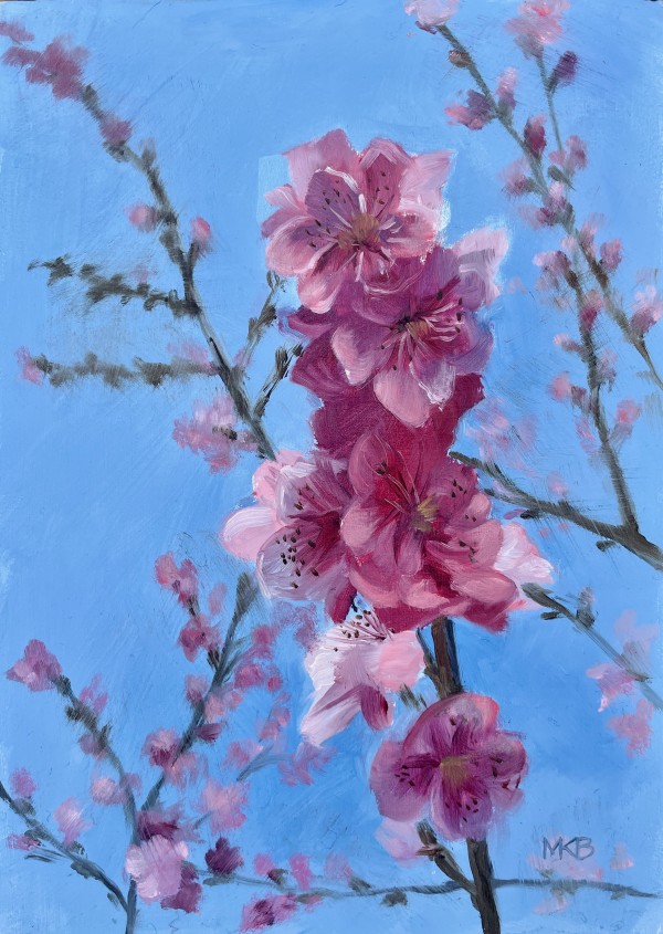 'Backlit Cherry Blossoms' by Mary Bryson
