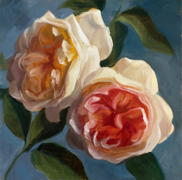 Wonder Twins by Mary Bryson