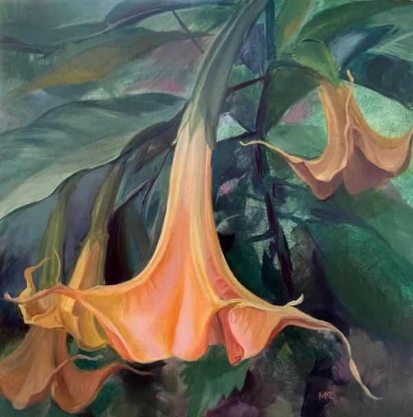 Peachy Angel's Trumpet by Mary Bryson