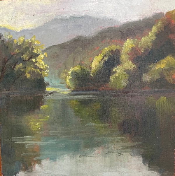 Day 7 'Morning On Beaver Lake' by Mary Bryson