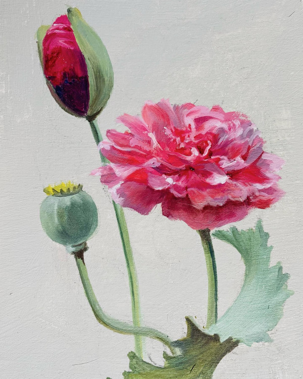 Double Pink 1 by Mary Bryson