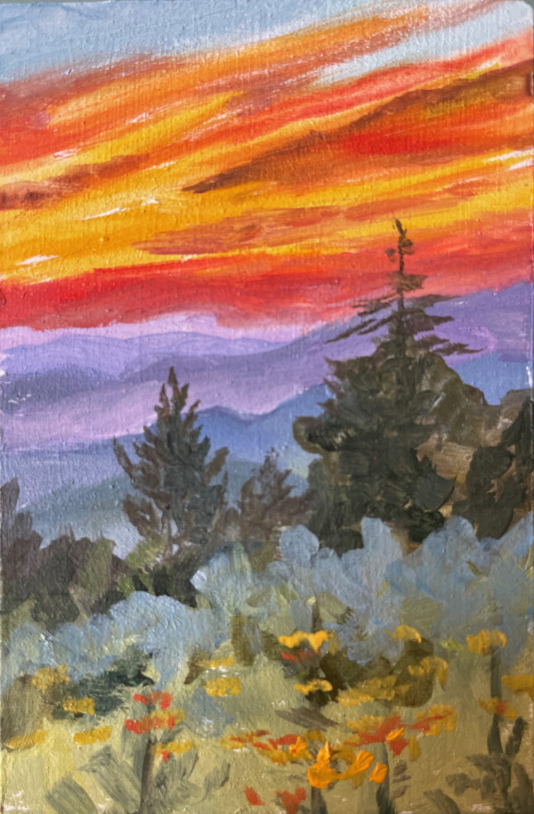 The Sky is on Fire by Mary Bryson