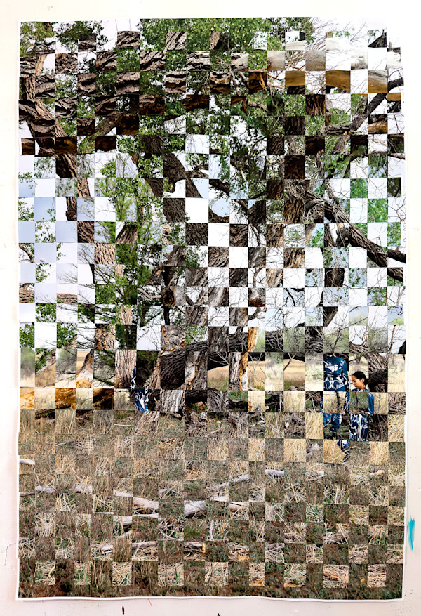 Cottonwood by Maya Ciarrocchi, Image 1.