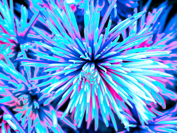 Aqua Nova, III by Pamela Beck