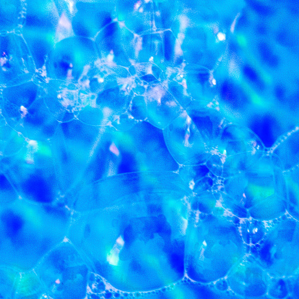 The Tides That Wove Rainbows by Pamela Beck