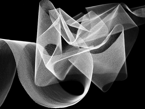 Dreaming by Pamela Beck