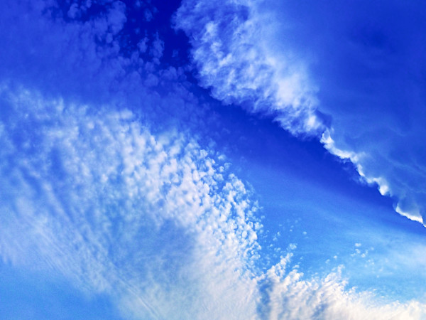 Cap D'Antibes by Pamela Beck