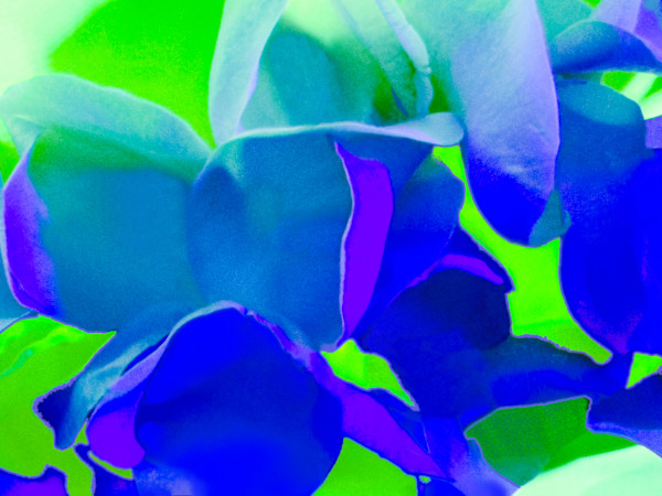 Lost At Sea by Pamela Beck