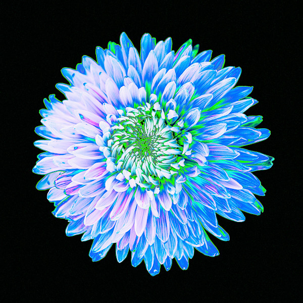 Don't Toy With Me, Seafoam by Pamela Beck