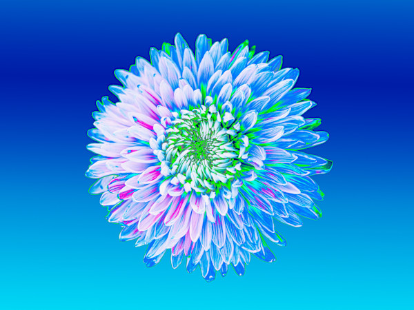 Don't Toy With Me, Seafoam, Blue by Pamela Beck