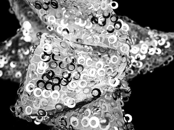 Disco Diva Silver by Pamela Beck