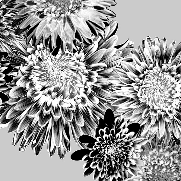 When The Frost Melts, Neige by Pamela Beck, Image 1.