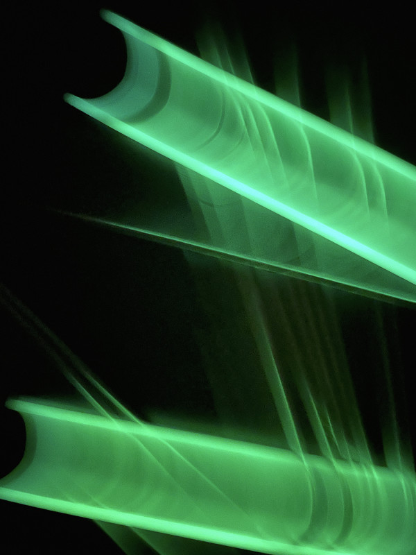 Emerald City by Pamela Beck