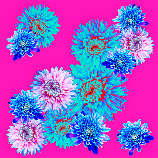 Spring Fling, Bubblegum by Pamela Beck