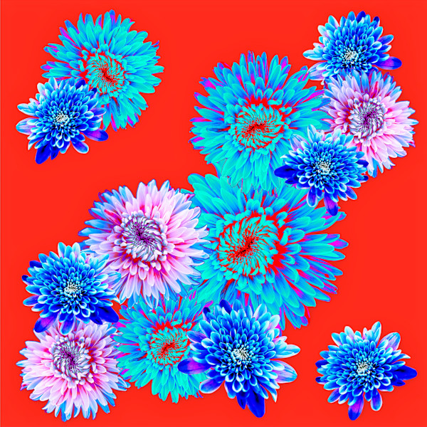 Spring Fling, Flame by Pamela Beck