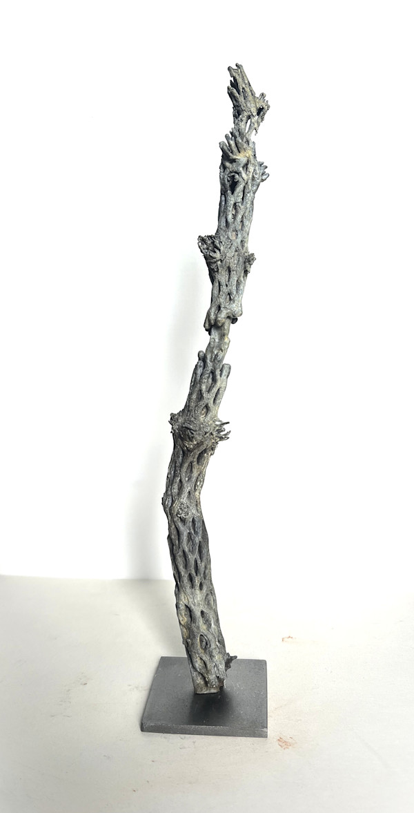 Cholla 2 by Eric Saint Georges, Image 1.