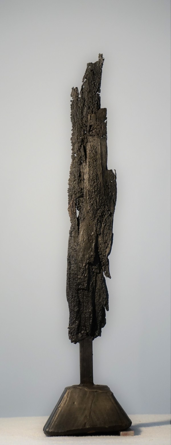 Bark #9 by Eric Saint Georges