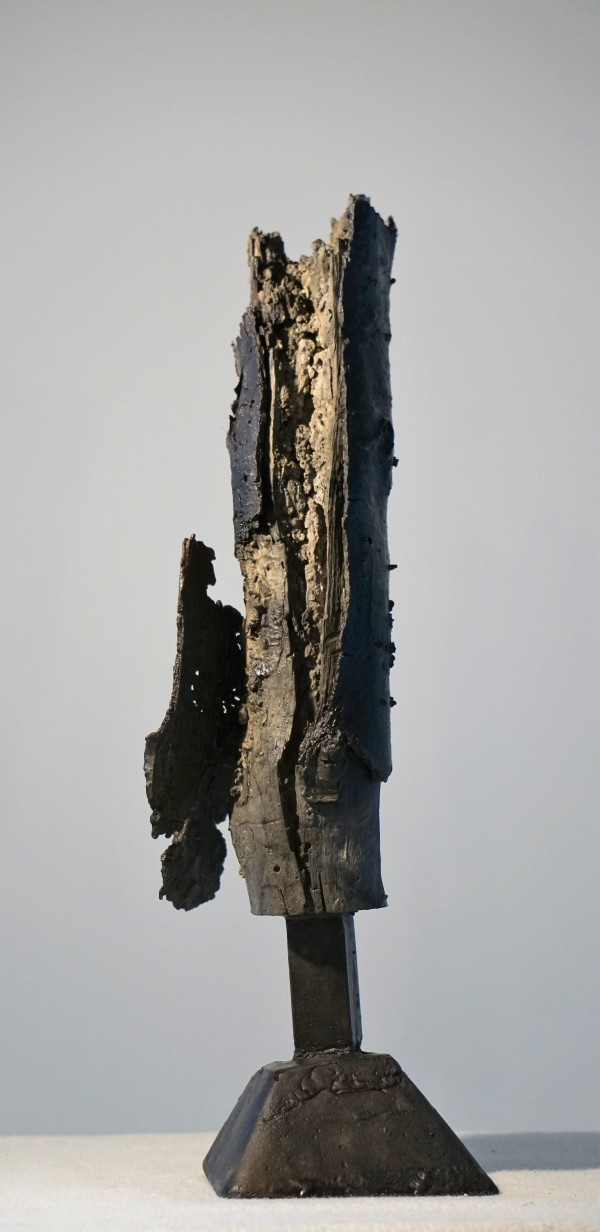 Bark #7 by Eric Saint Georges