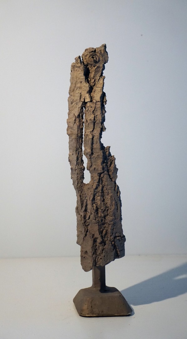 Bark #17 by Eric Saint Georges