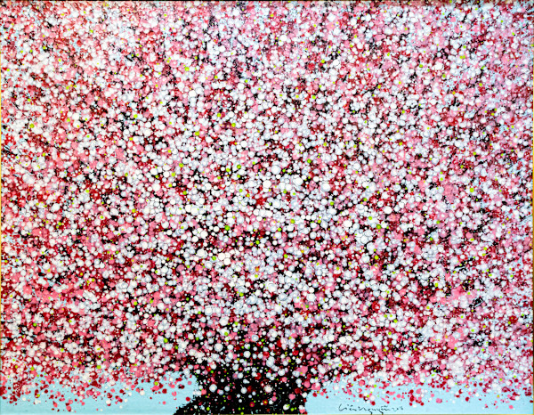 Cherry Blossom by Liêu Nguyễn Hướng Dương