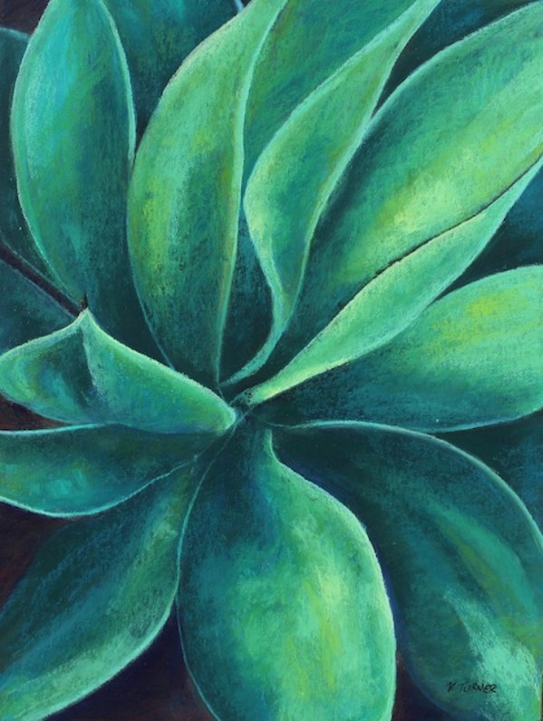 Succulent Green (Framed) by Vanessa Turner