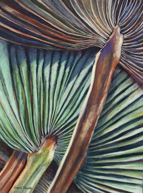 Bermuda Palm (Unframed) by Vanessa Turner
