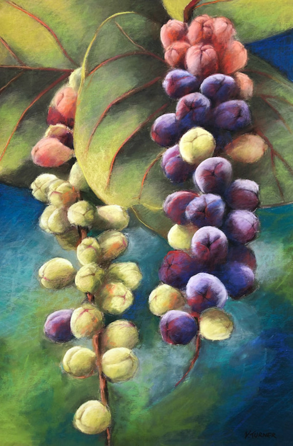 Bay Grape Leaves (Unframed) by Vanessa Turner