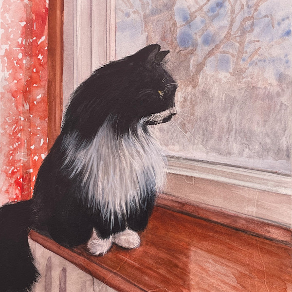 Romeo by Manon Bédard