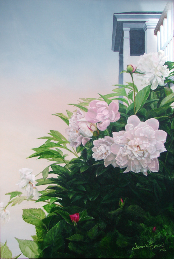 Pivoines des beaux jours by Manon Bédard