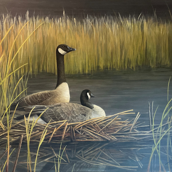 Camouflage - Bernaches du Canada by Manon Bédard