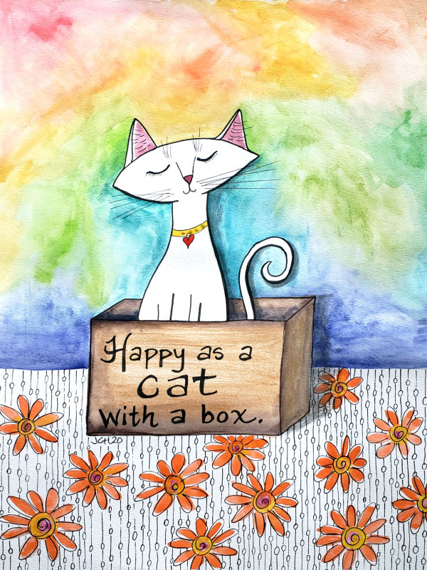 Cat With a Box Rainbow Clouds 2020