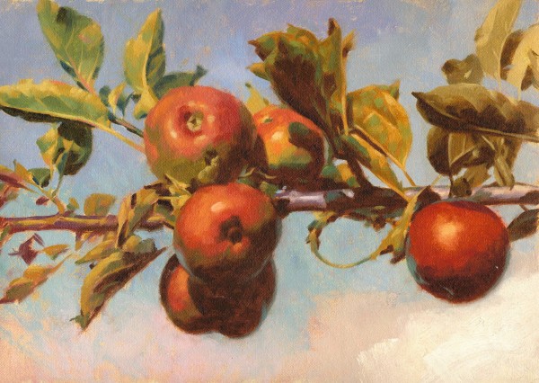 Red Apples by Peter Schaumann