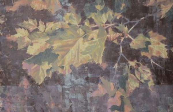 Sycamore by Peter Schaumann, Image 2.