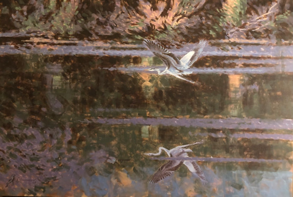 Great Blue Heron by Peter Schaumann, Image 1.