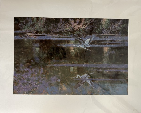 Giclee Print - Great Blue Heron by Peter Schaumann, Image 1.
