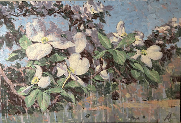 Dogwood by Peter Schaumann, Image 1.