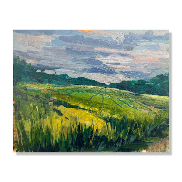 Summer Grasses by Samantha Williams-Chapelsky