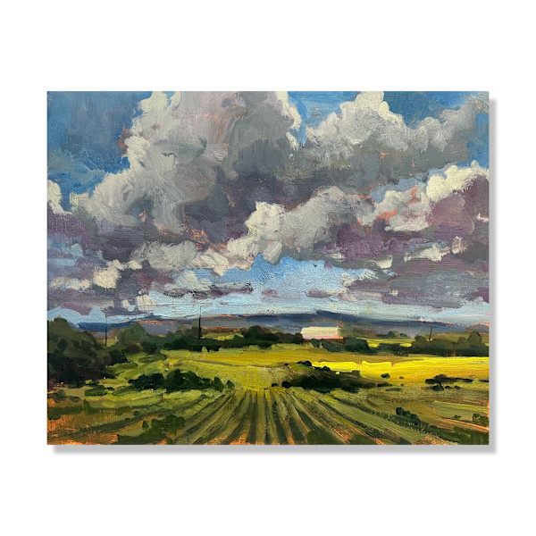 Wheat Fields by Samantha Williams-Chapelsky