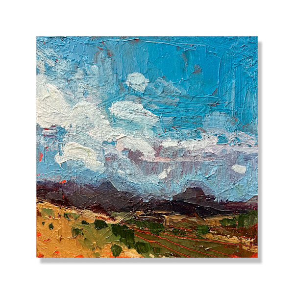 Southern views by Samantha Williams-Chapelsky