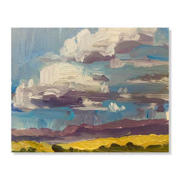 Cloudy view by Samantha Williams-Chapelsky